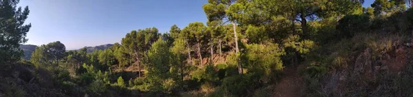 Il parco naturale del deserto di las palmas a Castellon — Foto Stock
