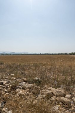 Senia'dan geçerken ağustos yolu