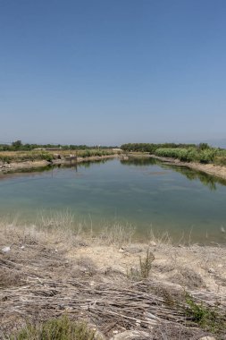 Senia'dan geçerken ağustos yolu
