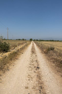 Senia'dan geçerken ağustos yolu