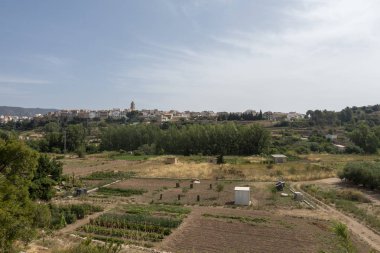 Senia'dan geçerken ağustos yolu