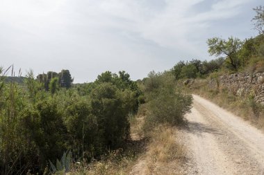 Senia'dan geçerken ağustos yolu