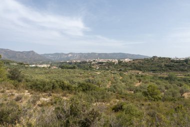 Senia'dan geçerken ağustos yolu