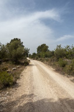 Senia'dan geçerken ağustos yolu
