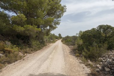 Senia'dan geçerken ağustos yolu