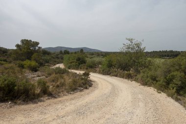 Senia'dan geçerken ağustos yolu