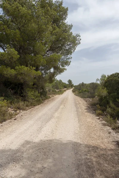 Senia'dan geçerken ağustos yolu