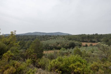 Senia dağlarında yol