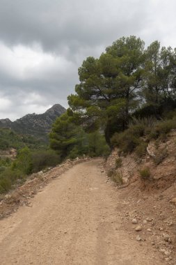 Prat del comte'daki dağlar, Tarragona