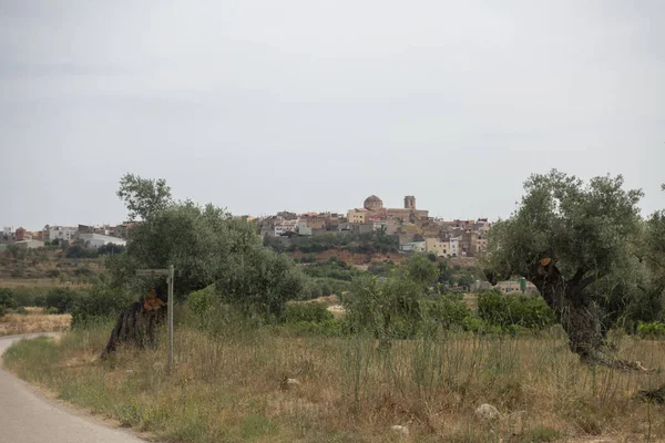 Camino de la augusta carretera a través de San Mateo — Foto de Stock