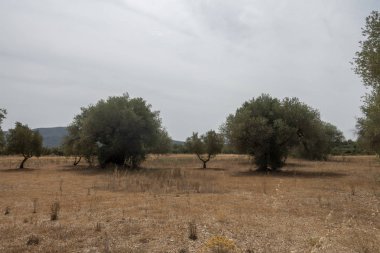 San Mateo üzerinden ağustos yolu Yolu