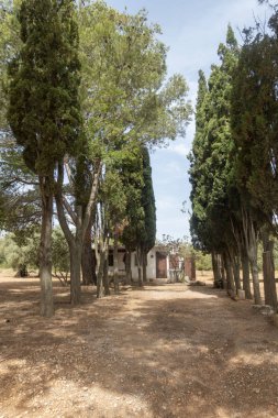 San Mateo üzerinden ağustos yolu Yolu