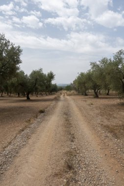 San Mateo üzerinden ağustos yolu Yolu