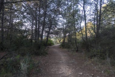 Castellon las palmas çölünün doğal parkı