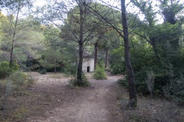 Castellon las palmas çölünün doğal parkı