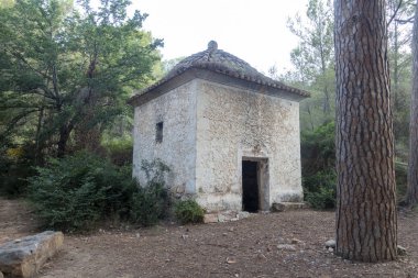 Castellon las palmas çölünün doğal parkı