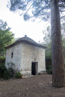 Castellon las palmas çölünün doğal parkı