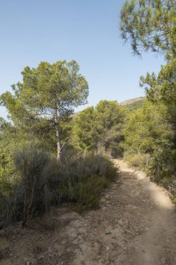 Castellon las palmas çölünün doğal parkı