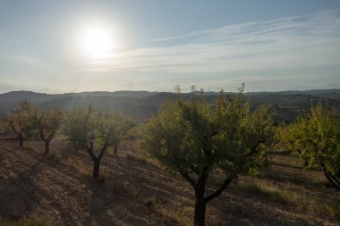 Prat de comte de Tarragona dağları
