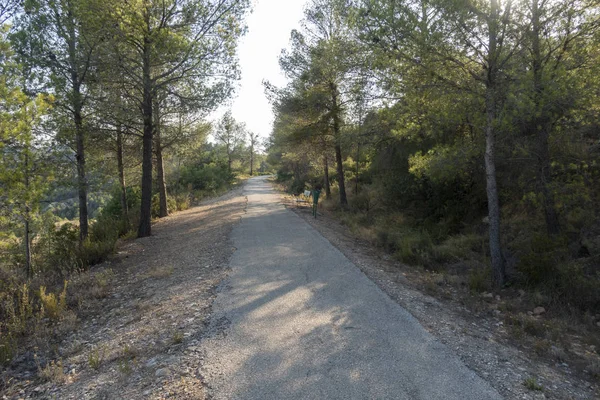 Vía Verde de la Terra Alta en Tarragona — Foto de Stock