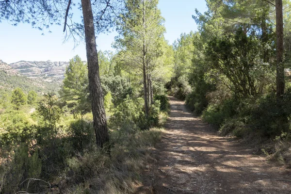 Montagne nel prat de comte de Tarragona — Foto Stock