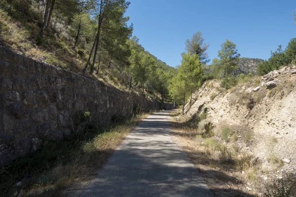 Дорога зеленого эбро в Таррагоне — стоковое фото