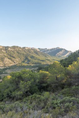 Dağlar içinde prat del comte de Tarragona