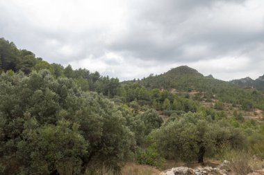 Dağlar içinde prat del comte de Tarragona