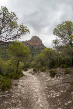 Dağlar içinde prat del comte de Tarragona