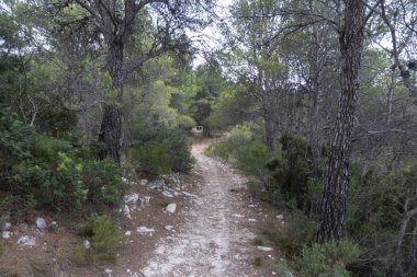 Dağlar içinde prat del comte de Tarragona