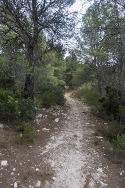 Dağlar içinde prat del comte de Tarragona