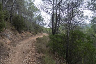 Dağlar içinde prat del comte de Tarragona