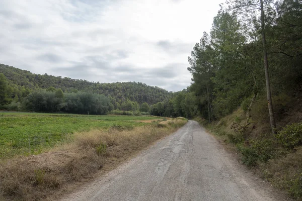 Cesta po zelené dráze v Tarragoně — Stock fotografie