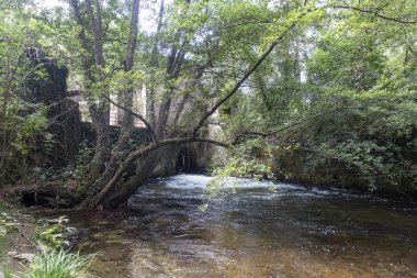 Carrilet, Girona'nın yeşil yolunun yanındaki nehir ter