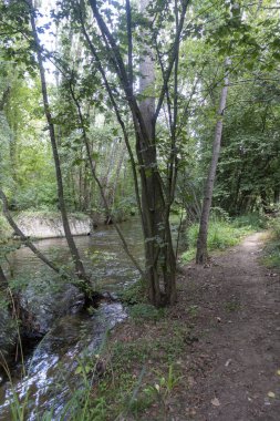Carrilet, Girona'nın yeşil yolunun yanındaki nehir ter