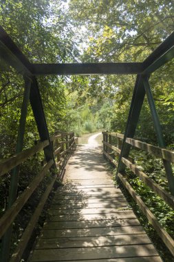 Olot'un leş yolunun yeşil yolu