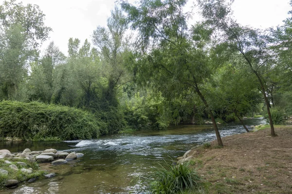 Carrilet, Girona'nın yeşil yolunun yanındaki nehir ter — Stok fotoğraf
