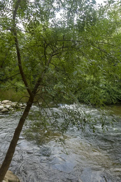 O ter do rio ao lado do greenway de Carrilet, Girona — Fotografia de Stock