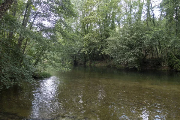 แม่น้ําเทอร์ติดกับกรีนเวย์ของ Carrilet, Girona — ภาพถ่ายสต็อก