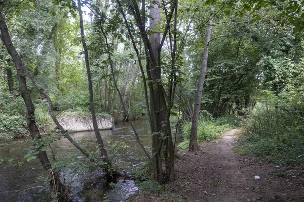Der Fluss ter neben der Grünstraße von carlet, girona — Stockfoto