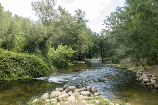 El río ter junto a la Vía Verde de Carrilet, Girona — Foto de Stock
