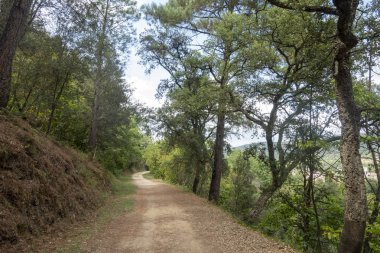 Olot'un leş yolunun yeşil yolu