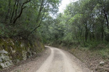 Olot'un leş yolunun yeşil yolu