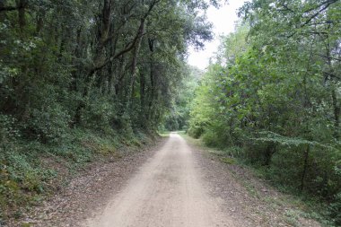 Olot'un leş yolunun yeşil yolu