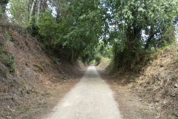 The green way of the carrilet path of Olot — Stock Photo, Image