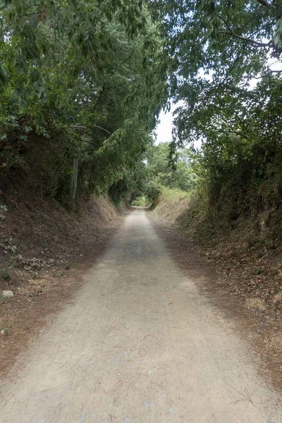 La via verde del sentiero carrabile di Olot — Foto Stock