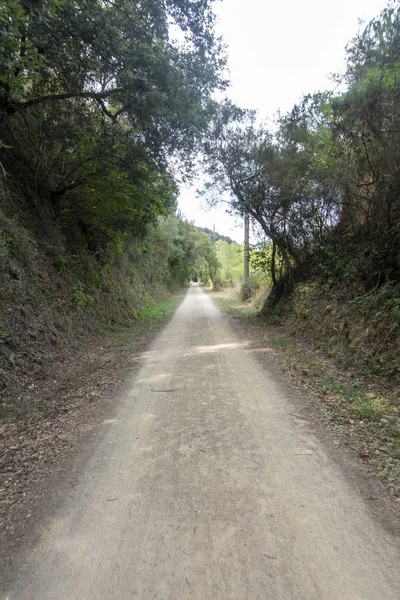 올롯의 캐리렛 경로의 녹색 길 — 스톡 사진