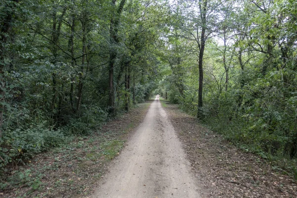 Der grüne Weg des Karrenweges von olot — Stockfoto