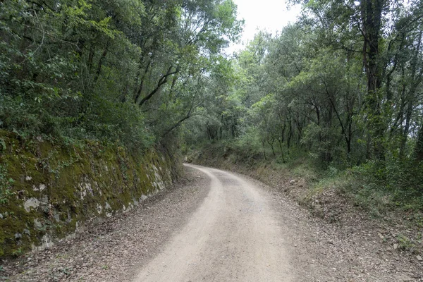 La via verde del sentiero carrabile di Olot — Foto Stock