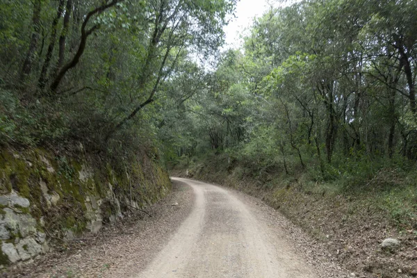 De groene weg van het Carrilet pad van Olot — Stockfoto